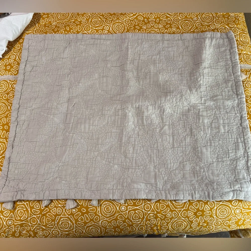 Restoration Hardware Washed Cotton Vintage Standard Pillow Sham